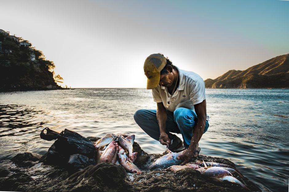 ¿Cómo disfrutar del pescado fresco en la costa? — Gastronomía de Peravia: Platos Típicos que Debes Probar — turismo RD