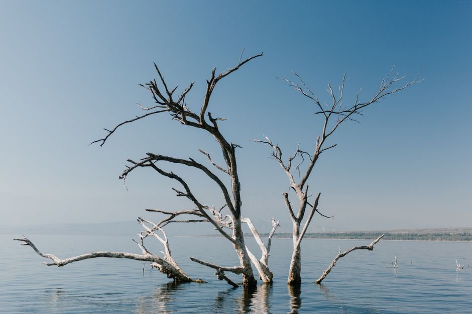 Lago Enriquillo: un tesoro natural en Independencia — imagen de turismo en República Dominicana