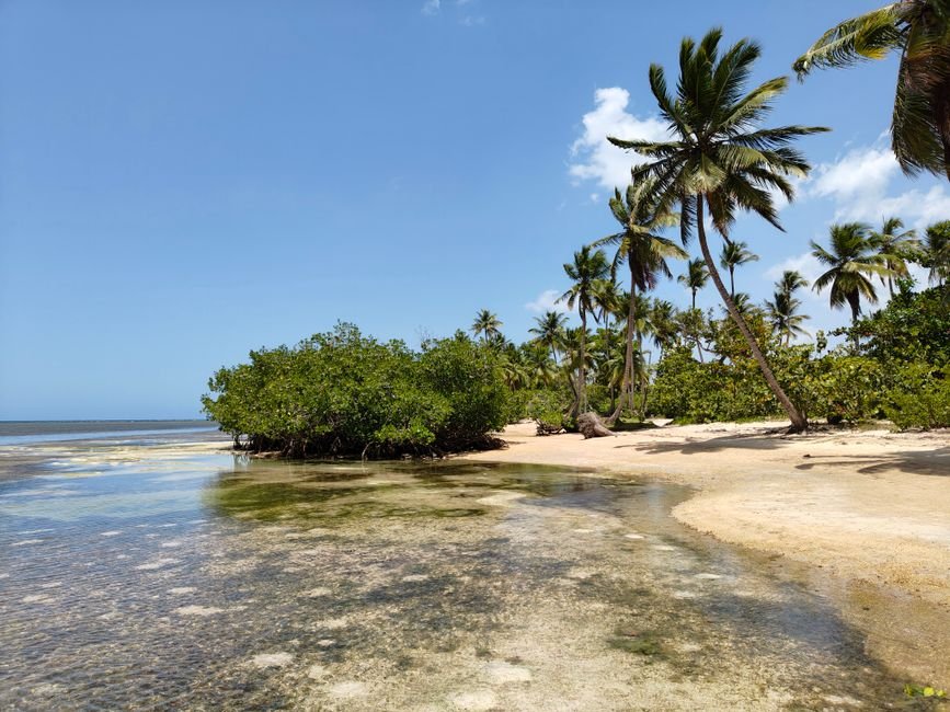 Progreso en la renovación de Playa El Gri-Gri en Nagua — imagen de turismo en República Dominicana