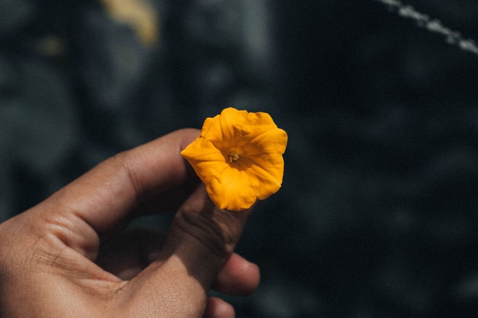 San Pedro de Macorís: Cultura, Gastronomía y Béisbol — imagen de turismo en República Dominicana