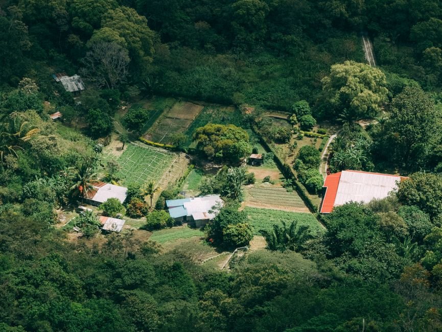 Valle Nuevo: Un Paraíso Ecológico en el Corazón de Constanza — imagen de turismo en República Dominicana
