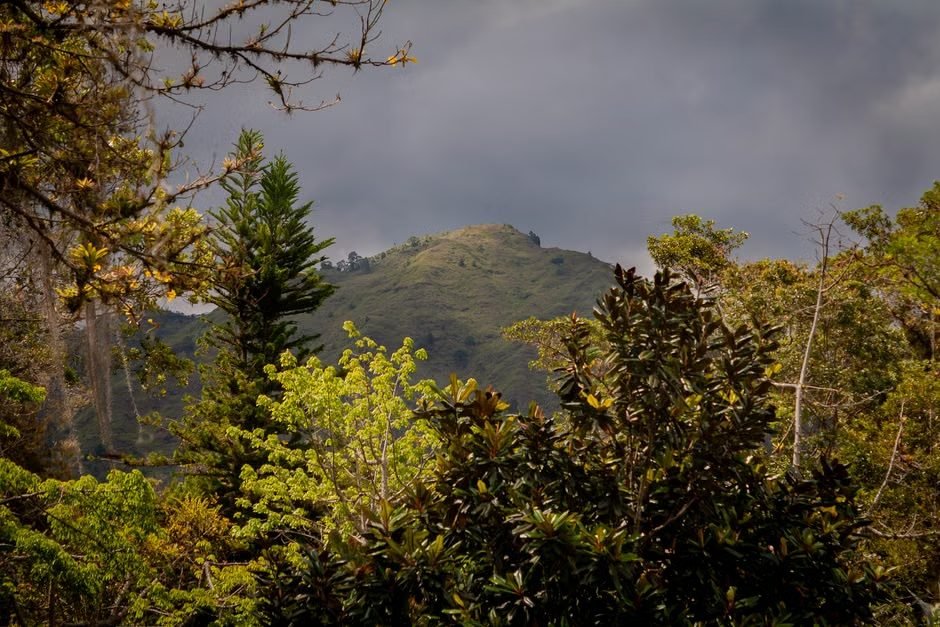 Rutas y maravillas naturales en la Cordillera Central — imagen de turismo en República Dominicana