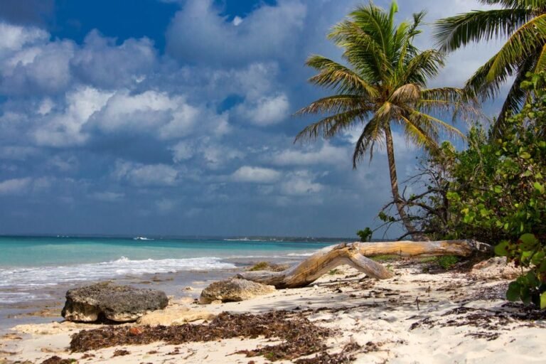 Descubre Playa Macao, un Tesoro Natural — imagen de turismo en República Dominicana