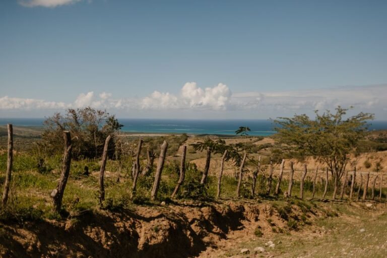 Dunas de Baní: Un Oasis Ecológico en República Dominicana — imagen de turismo en República Dominicana