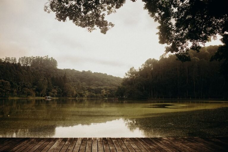 Explora el Parque Nacional Jaragua y sus Alrededores en República Dominicana — imagen de turismo en República Dominicana