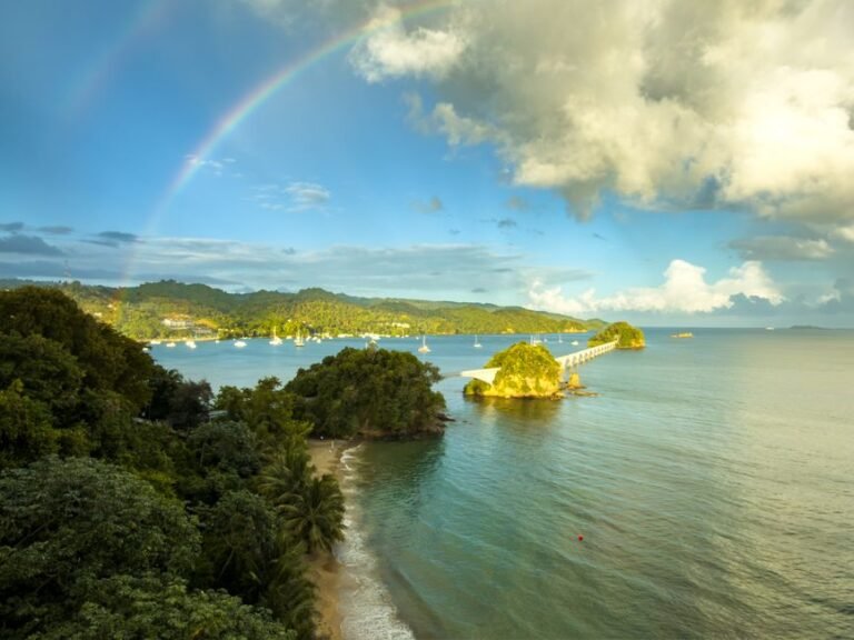Los Haitises: Un Paraíso Natural en Samaná — imagen de turismo en República Dominicana