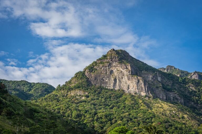 Pico Duarte: Aventura y Belleza Natural en la Provincia de La Vega — imagen de turismo en República Dominicana