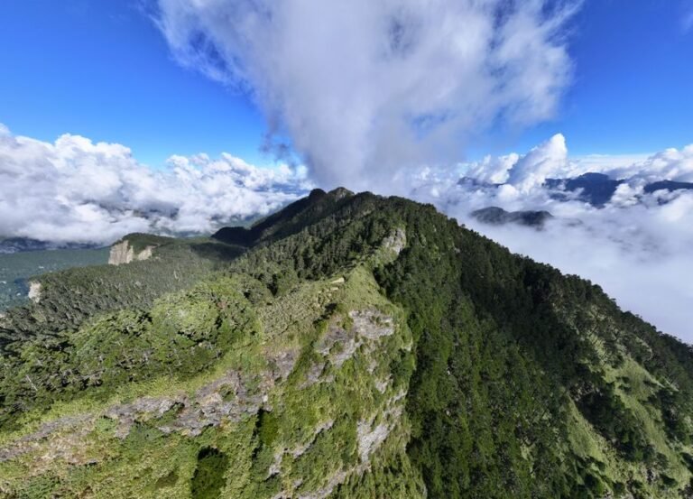 Pico Duarte: Aventura y Naturaleza en la Montaña Dominicana — imagen de turismo en República Dominicana