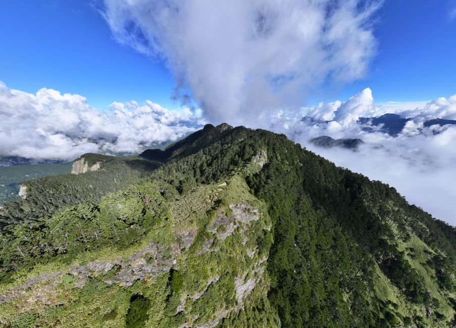Pico Duarte: Aventura y Naturaleza en la Montaña Dominicana — imagen de turismo en República Dominicana