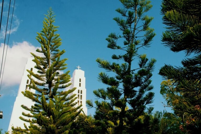 Santiago de los Caballeros: Un Vínculo Cultural en el — imagen de turismo en República Dominicana