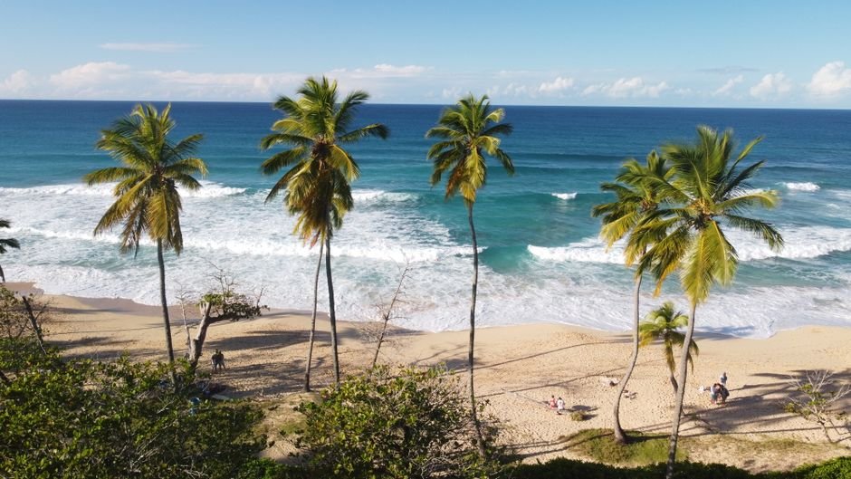 Playa Grande, Río San Juan: cómo llegar, el mar y qué ver — imagen de turismo en República Dominicana
