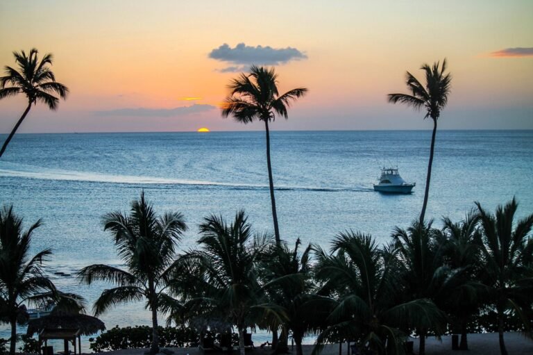 Atardecer entre palmeras en Bayahíbe