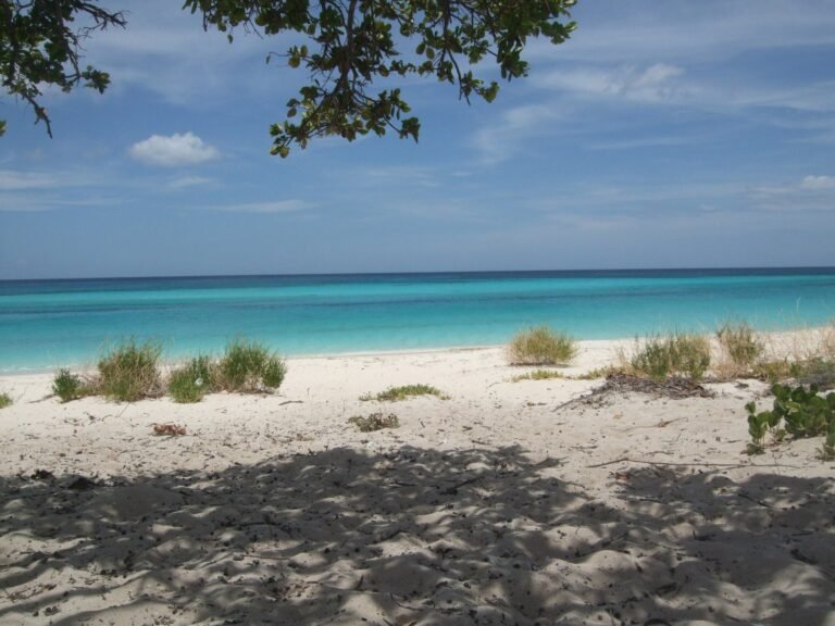 Playa de Bahía de las Águilas en Pedernales, sur de República Dominicana