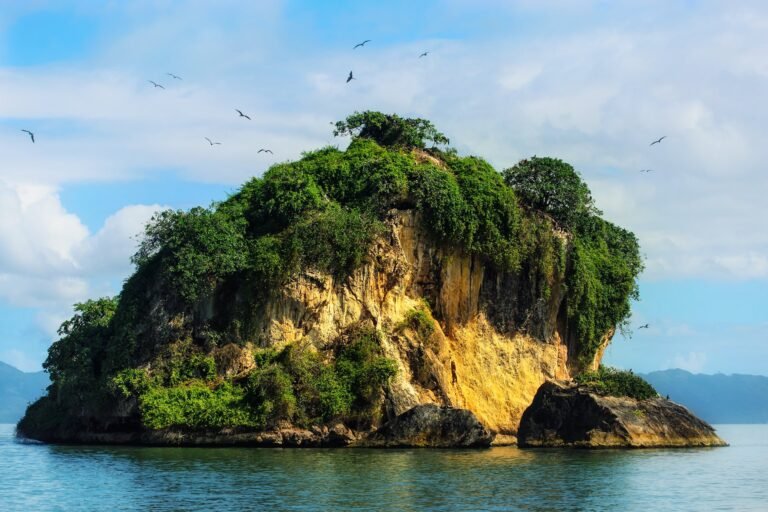 Cayo de los Pájaros en el Parque Nacional Los Haitises, bahía de Samaná