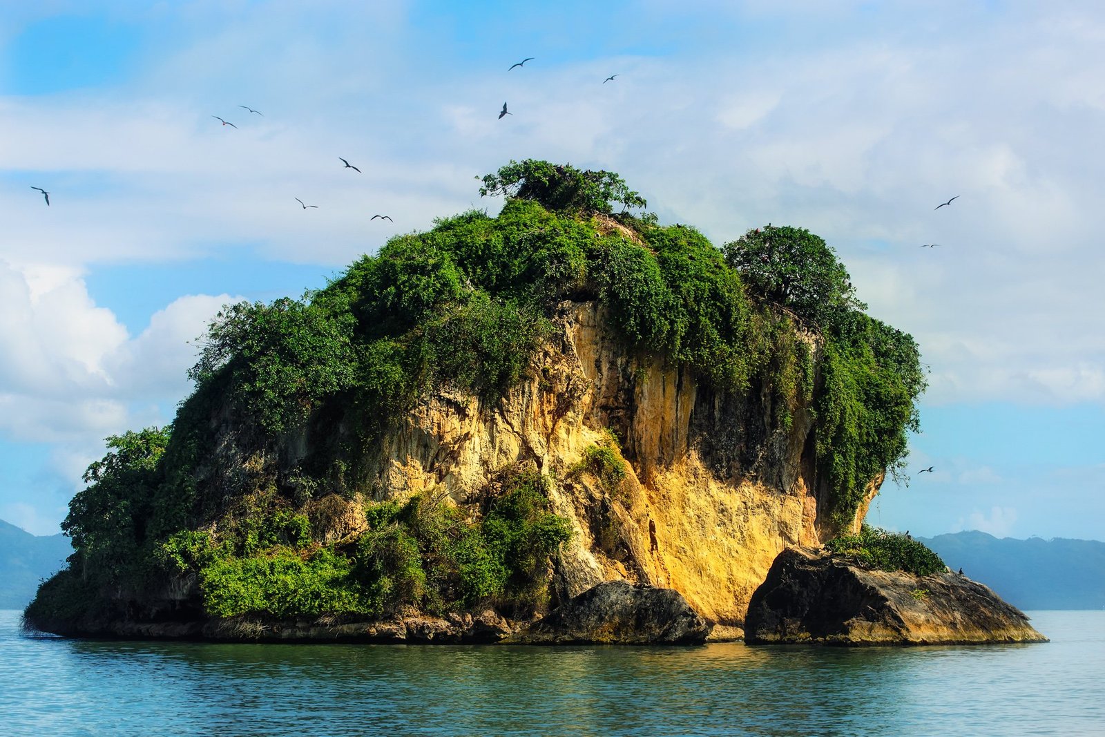 Cayo de los Pájaros en el Parque Nacional Los Haitises, bahía de Samaná