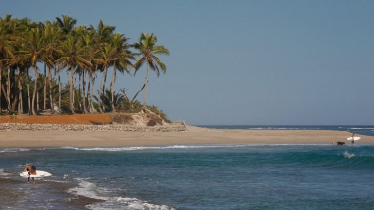 Playa de Cabarete con palmeras y surfistas