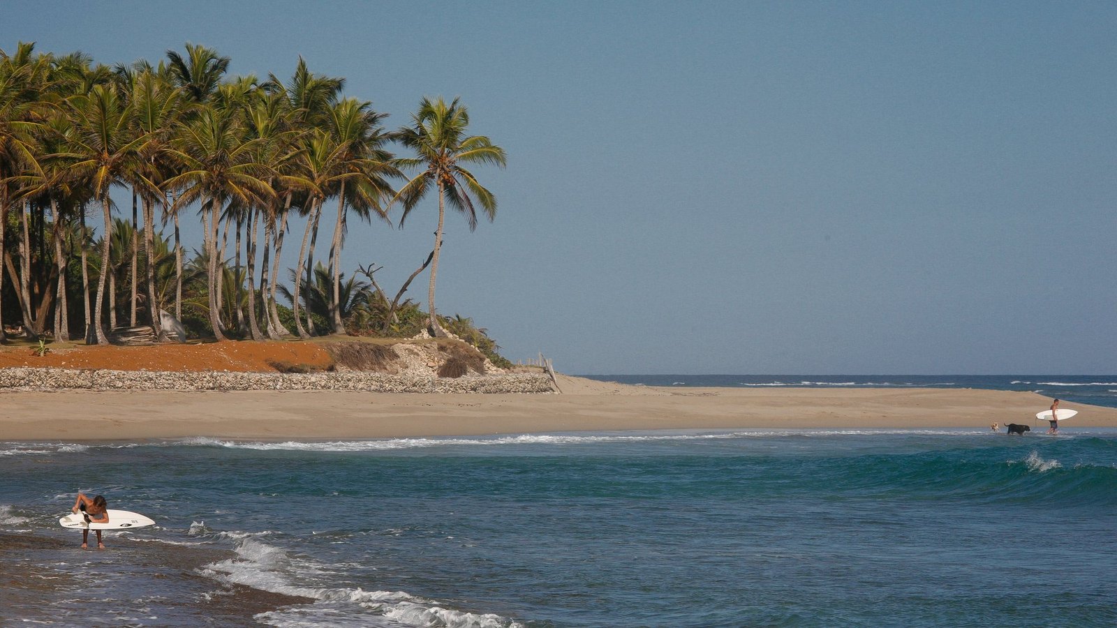 Playa de Cabarete con palmeras y surfistas
