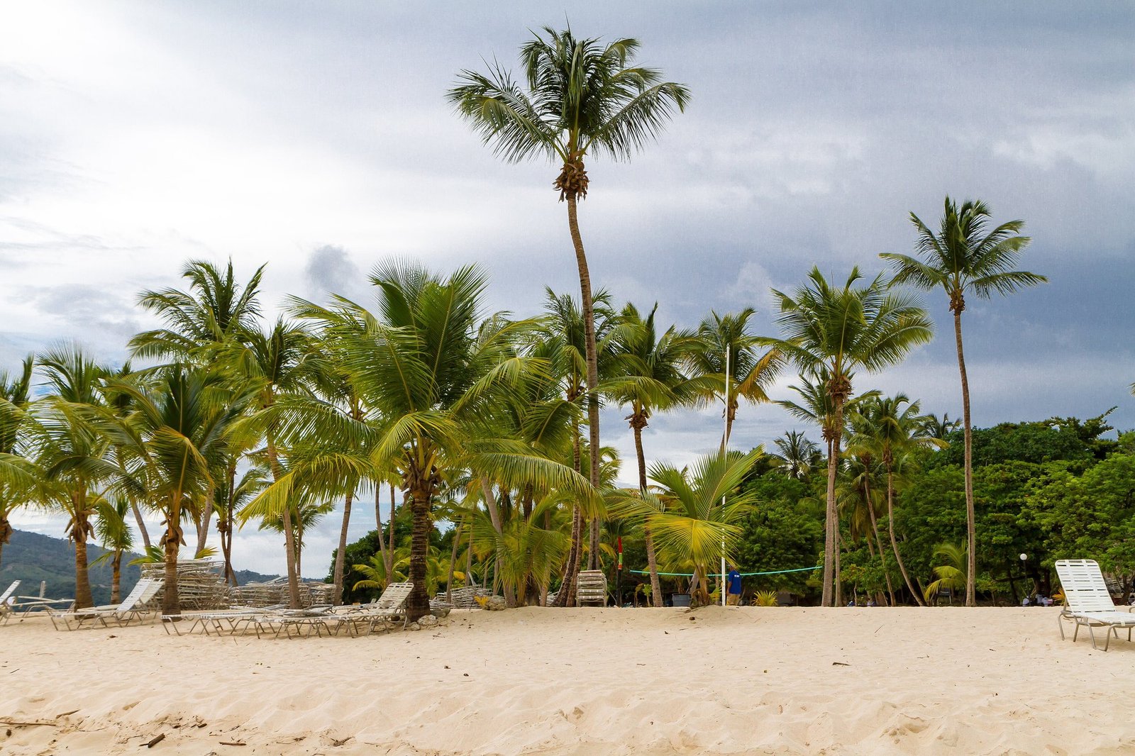 Playa con palmeras en Cayo Levantado, Samaná