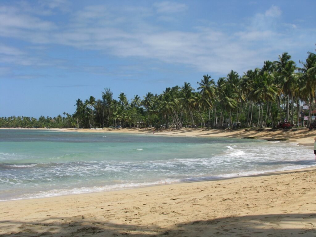 Playa de Las Terrenas con cocoteros, en Samaná