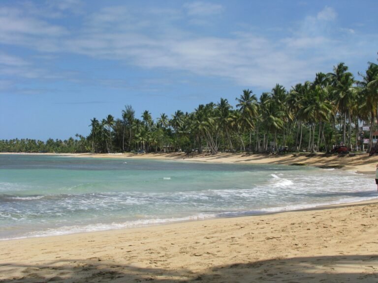 Playa de Las Terrenas con cocoteros, en Samaná