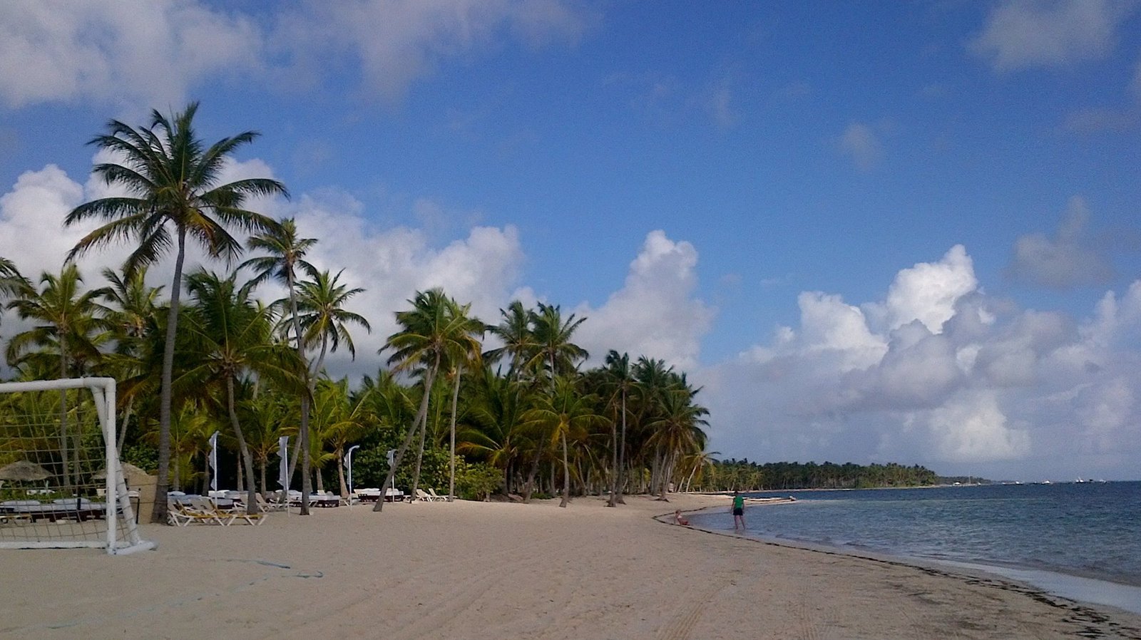 Playa de Punta Cana con palmeras y arena blanca